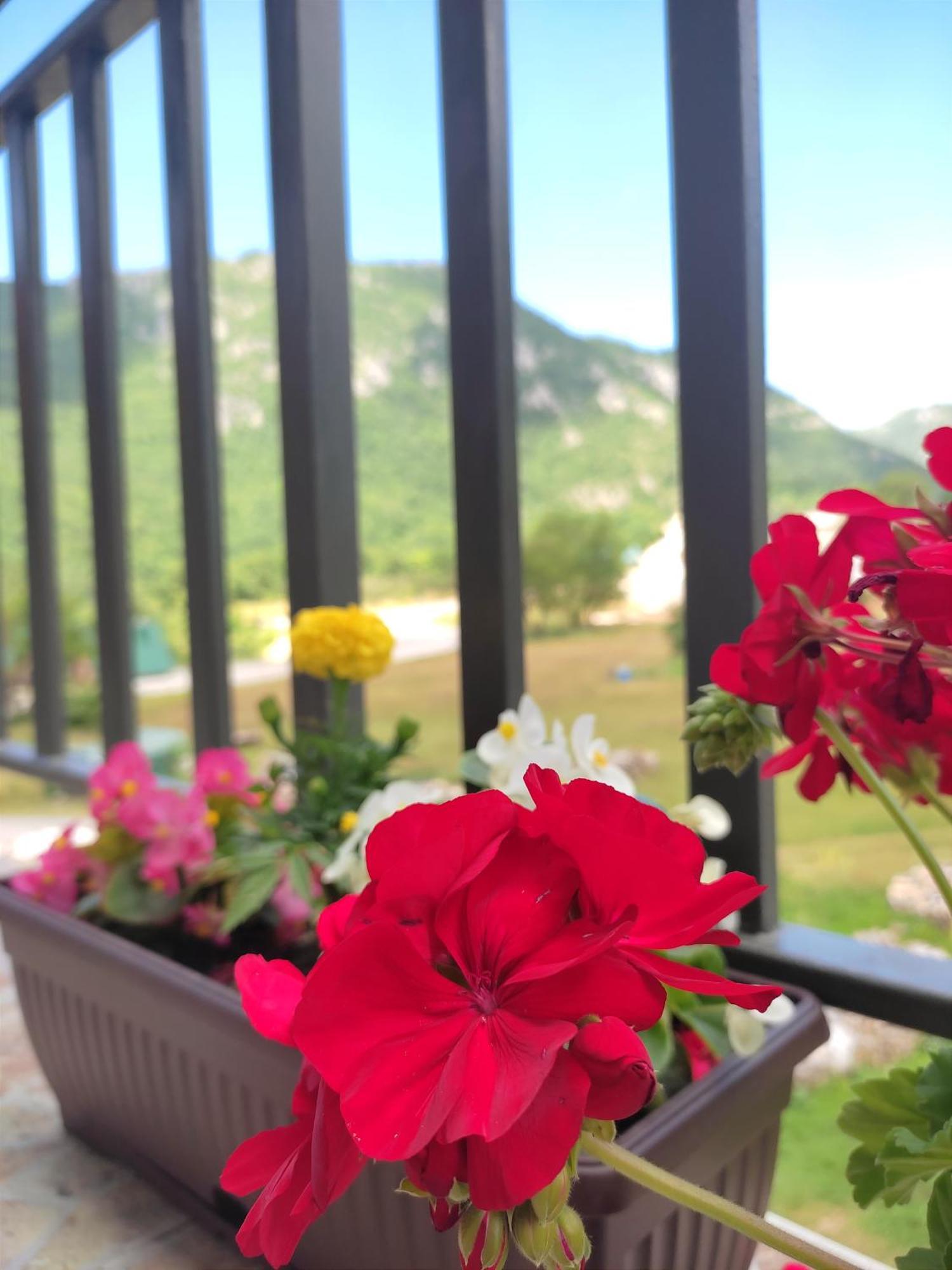 Apartment La Casa 普卢日内 外观 照片